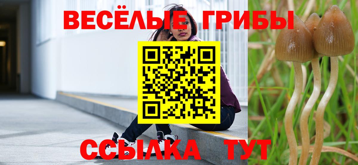 Псилоцибиновые грибы мухоморы Борисоглебск